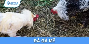 da-ga-my