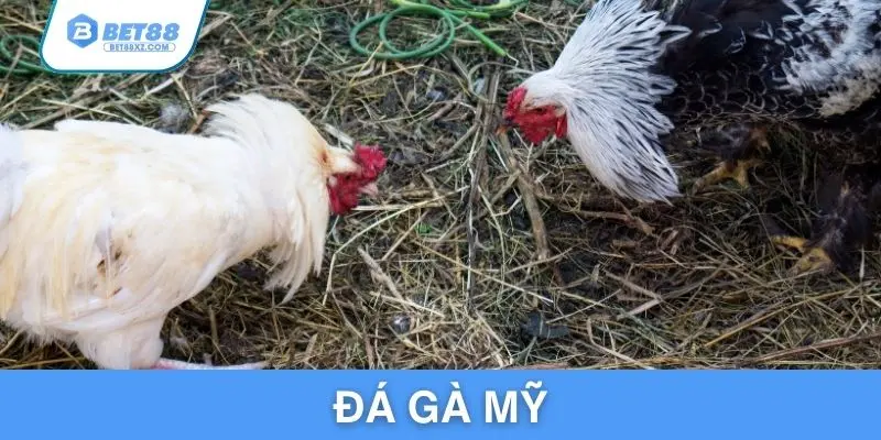 da-ga-my
