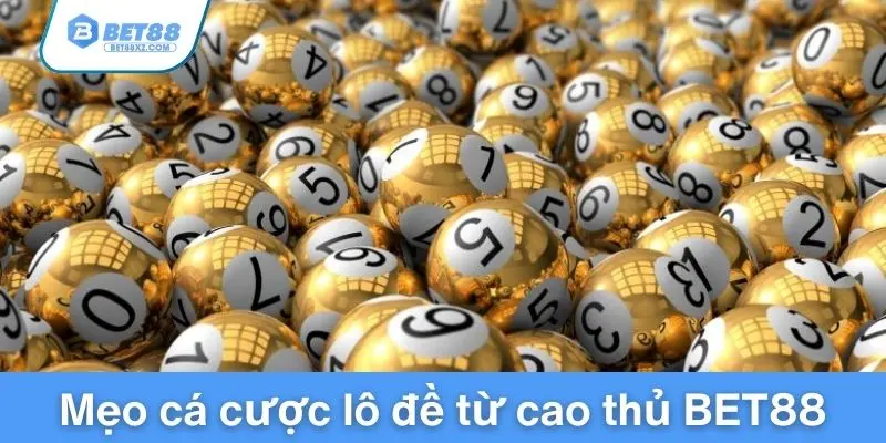 Mẹo cá cược lô đề từ cao thủ BET88