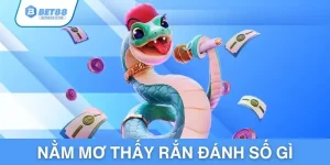 nam-mo-thay-ran-danh-so-gi