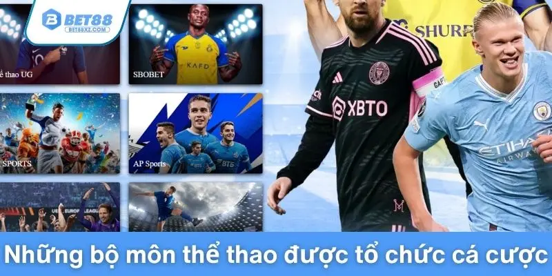 Những bộ môn thể thao được tổ chức cá cược