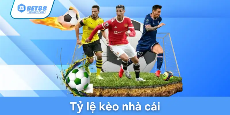 ty-le-keo-nha-cai